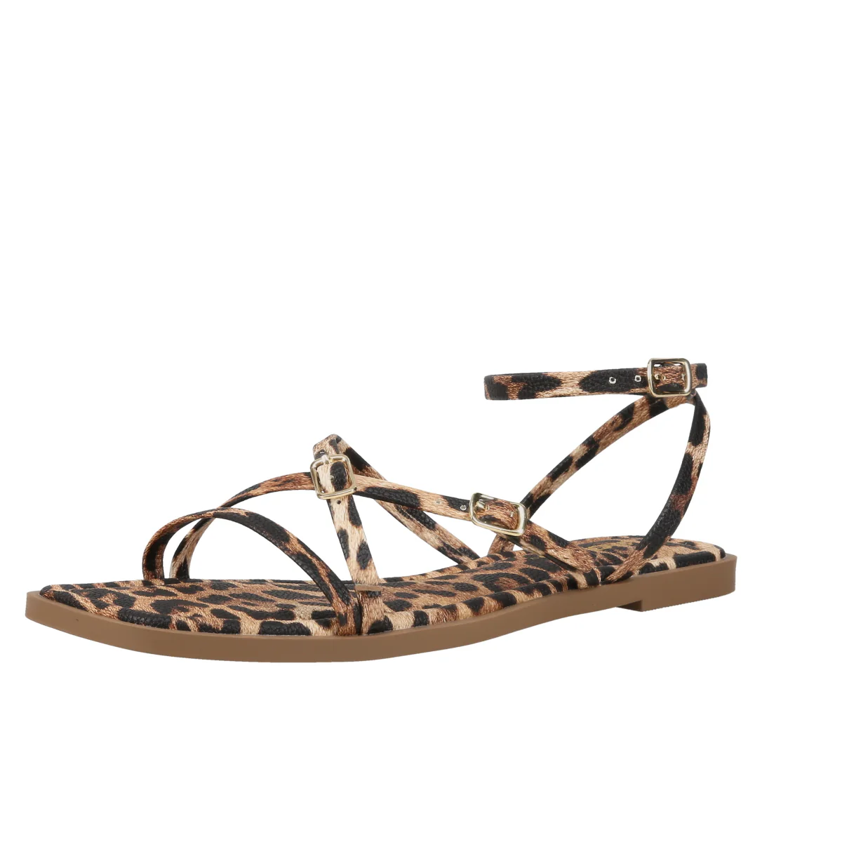 Eyeful Animal Print