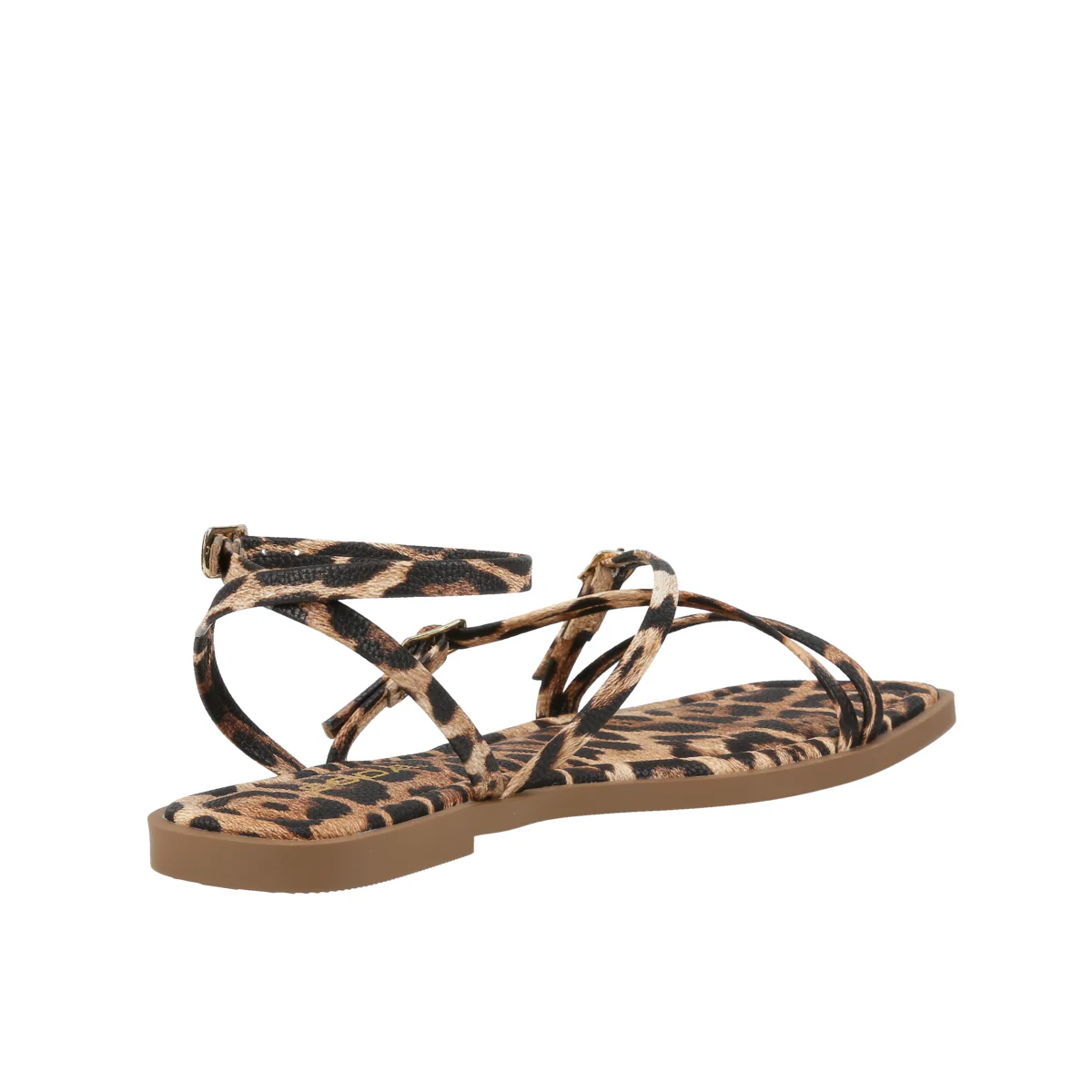 Eyeful Animal Print - Image 3