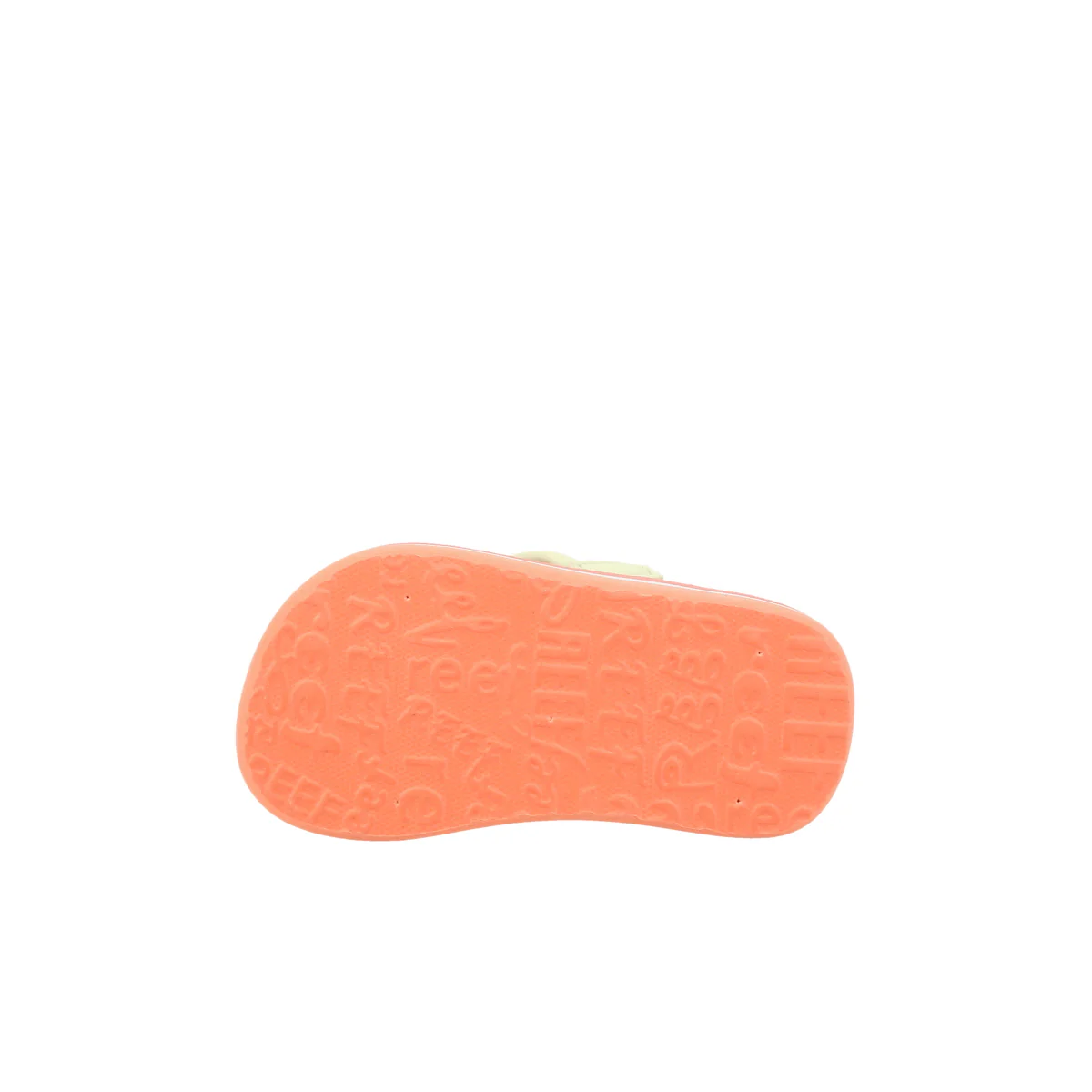 Little Ahi Citrus Fruit - Image 5